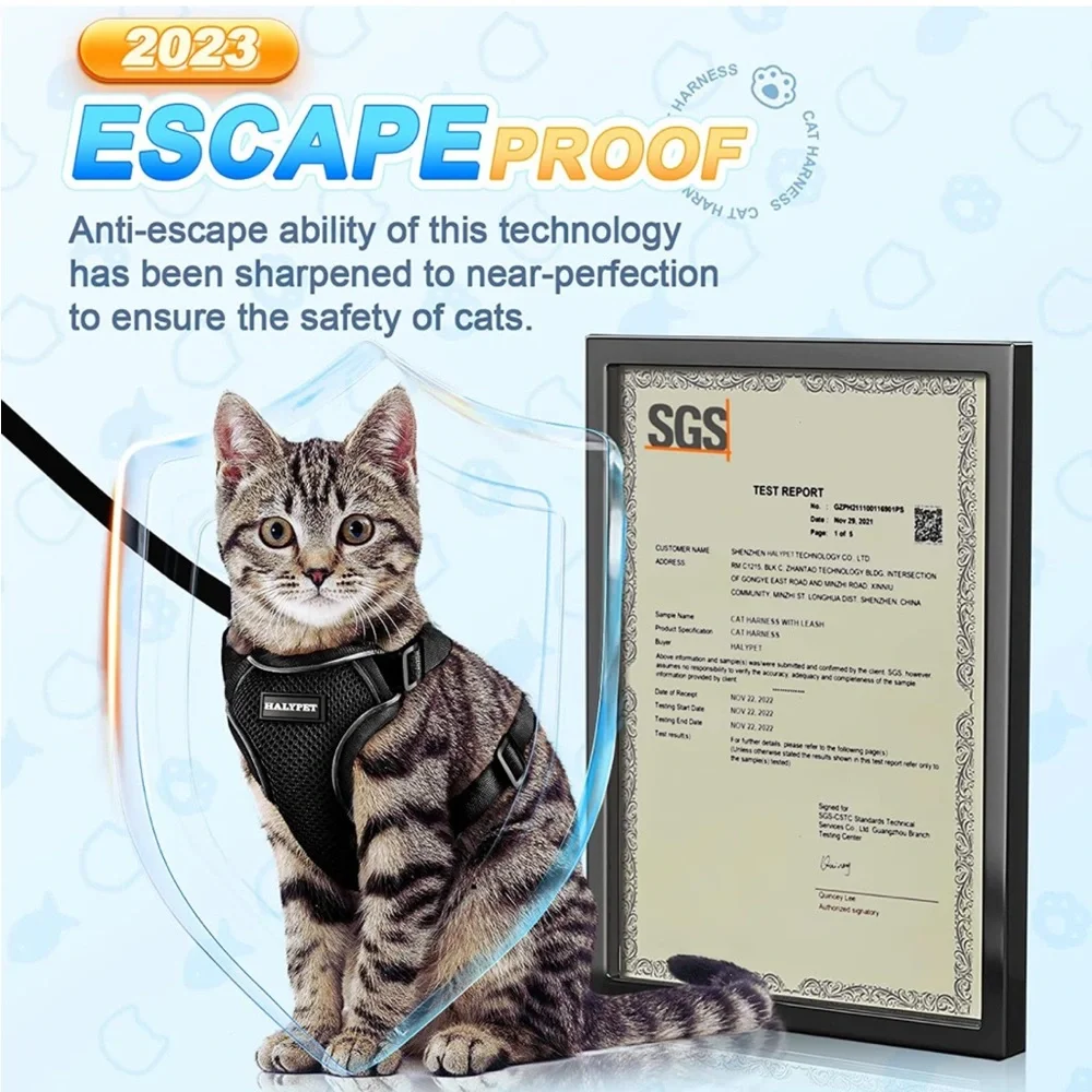 Brand new Cat Harness